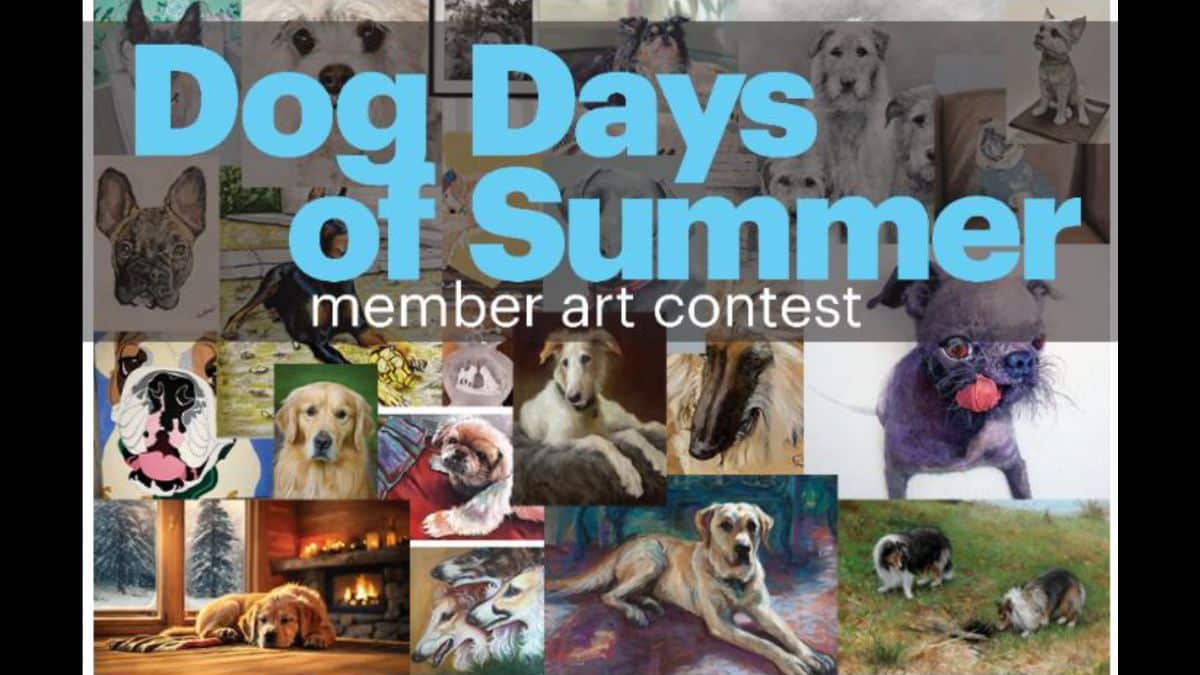 Dog Days of Summer