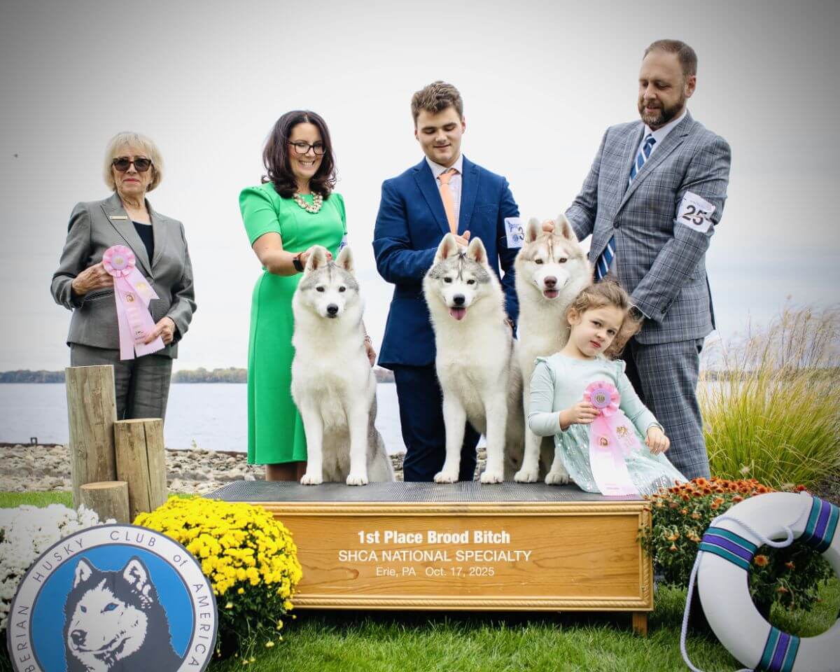 Tim Terella | Snoebear Siberian Huskies