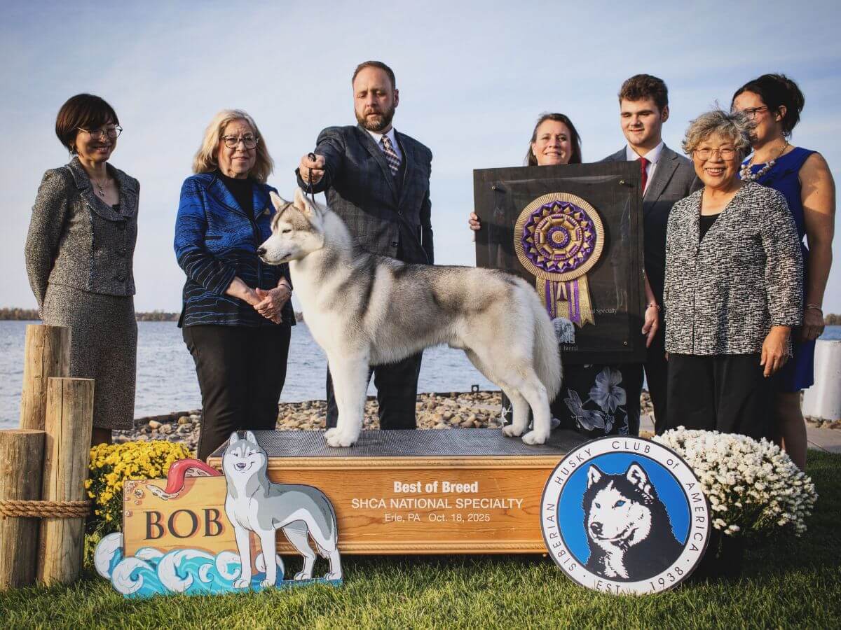 Tim Terella | Snoebear Siberian Huskies
