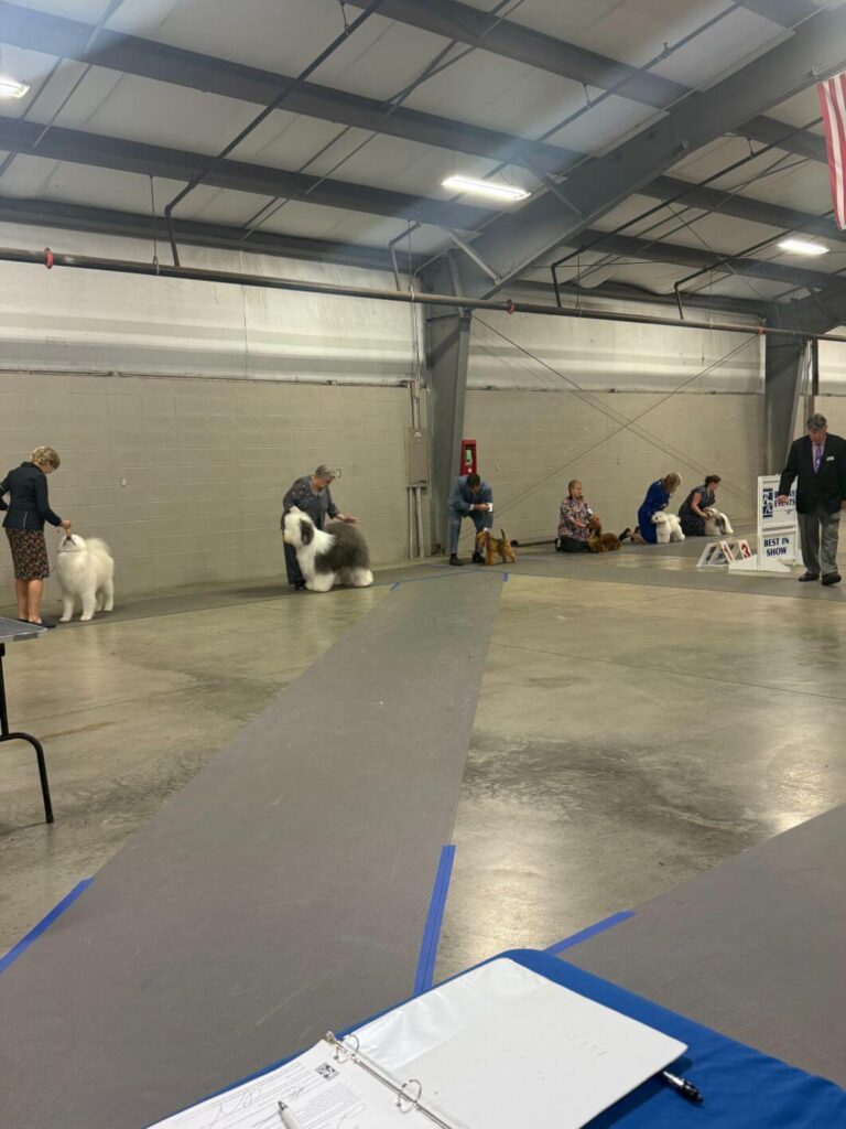 Hoosier Summer Classic (14)