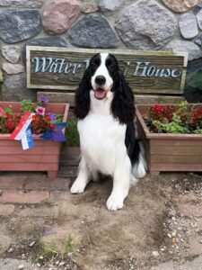 Hoosier Summer Classic (2)