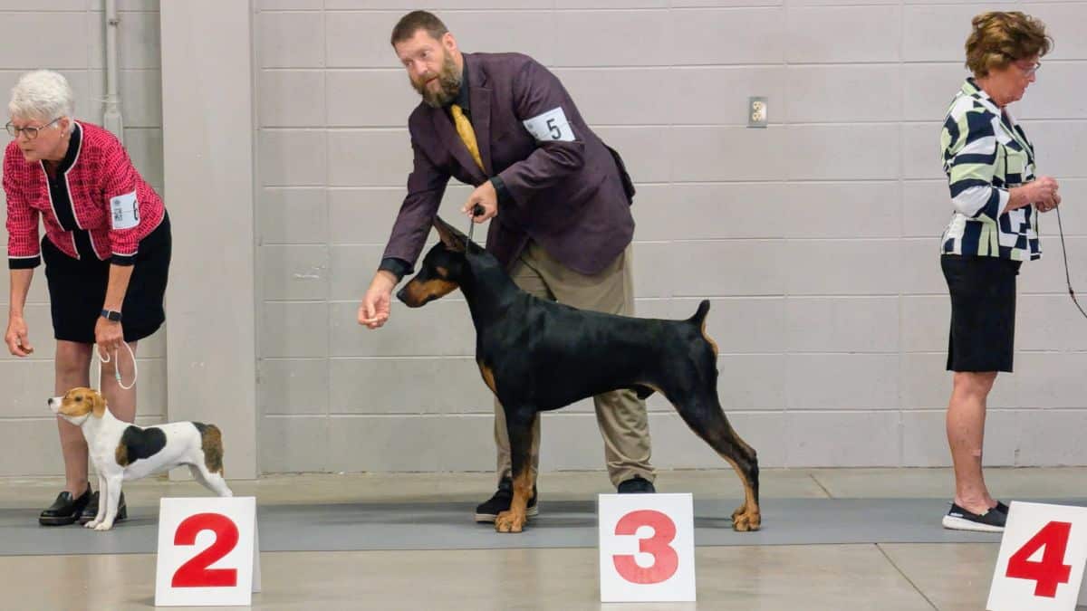 Hoosier Summer Classic 2026 Dog Show