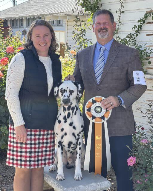 Professional Handlers: Anthony & Darcie Cantor