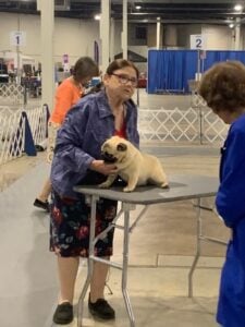 IMG_9858