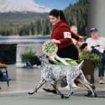 Jemma Panzarino at a dog show