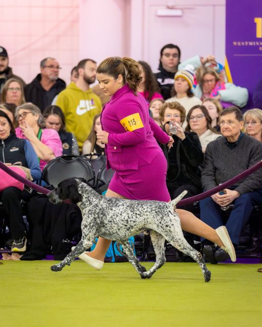 Jemma Panzarino at a dog show