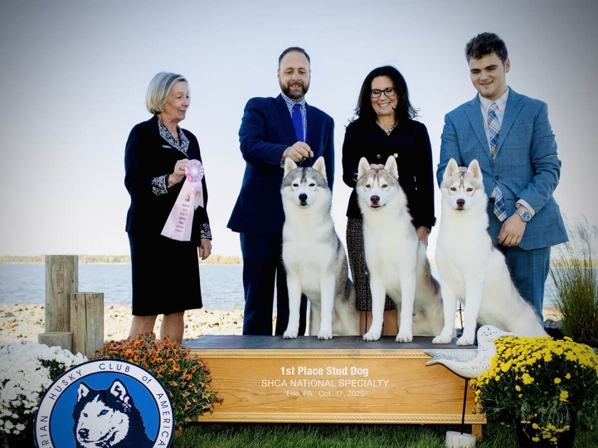 Tim Terella | Snoebear Siberian Huskies