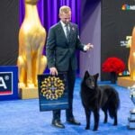 Soleil shines! The now 5-year-old Belgian Sheepdog handled by Daniel Martin with a flowing black coat and crowd-loving personality, Solei bested about 2,000 other canines to take the title Best in Show at last year’s National Dog Show Presented by Purina. The first Belgian Sheepdog to win the title, Soleil captured her seventh Best in Show, setting a record for the breed. Experience the Kennel Club of Philadelphia’s National Dog Show live November 14 – 15 at the Greater Philadelphia Expo Center.