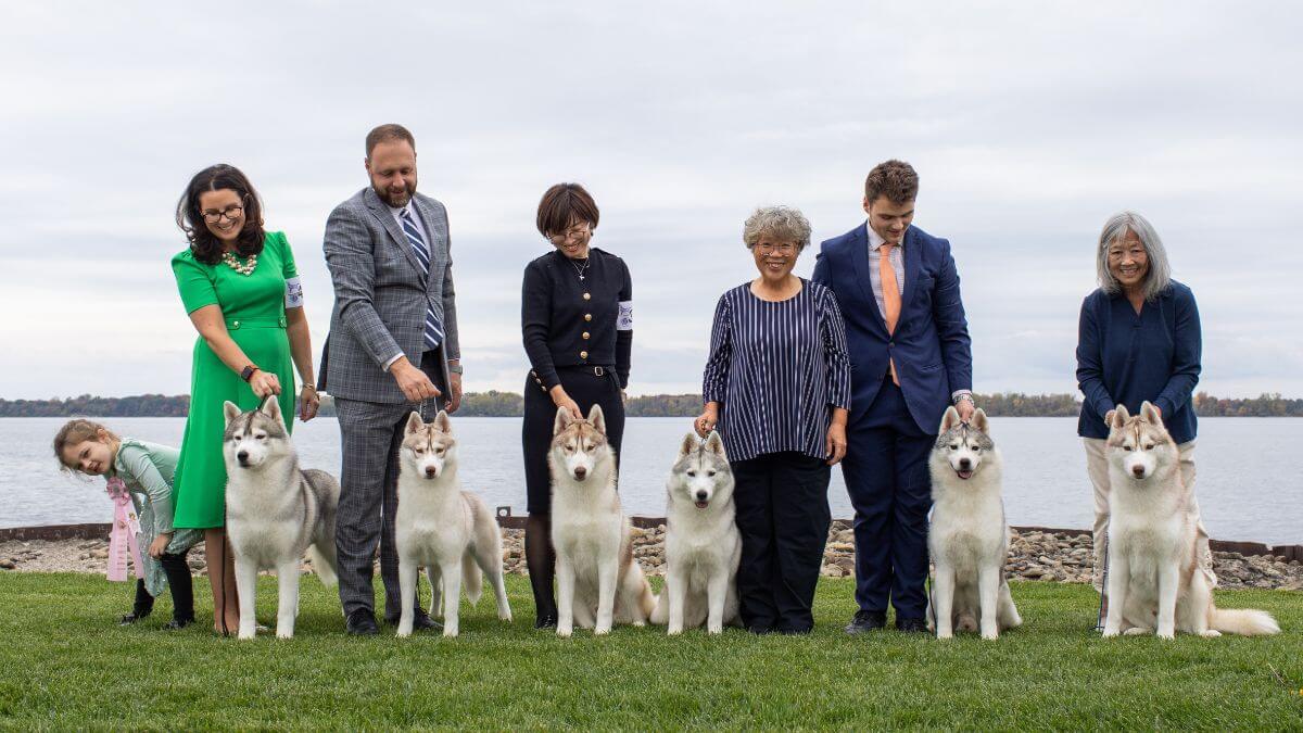 Tim Terella | Snoebear Siberian Huskies