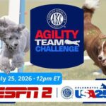 The Dog Days of Summer Continue With the AKC Agility Team Challenge on ESPN2