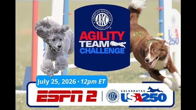 The Dog Days of Summer Continue With the AKC Agility Team Challenge on ESPN2