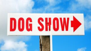 Dog Show sign