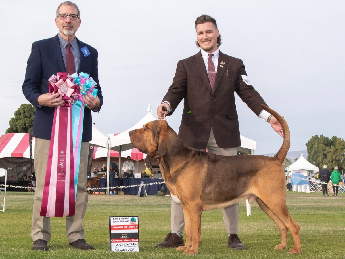 Nicholas Wameling at a dog show