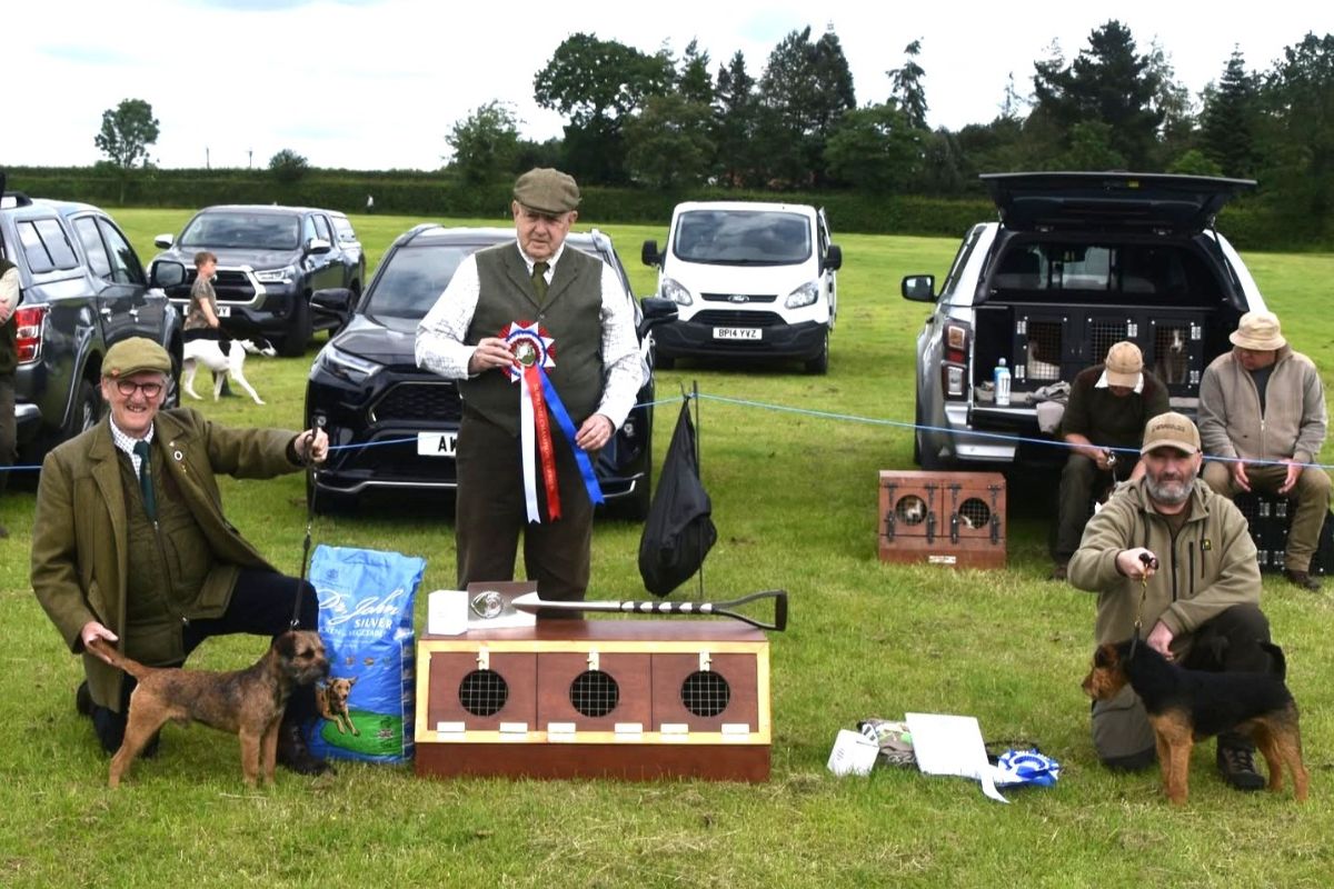 The Terrier Champion (Border Terrier) and Reserve Champion (Lakeland Terrier) at the Fell & Moorland Working Terrier Club’s Best of the Best event at Thirsk, Yorkshire. Each of the entrants was a champion from previous local terrier trials. Both these dogs were of the highest quality imaginable. So were the rest of the competitors in the class.