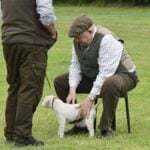 Conformation classes at Terrier Trials are traditionally judged with the dogs on the ground (where any good terrier belongs). Spanning is almost mandatory, and an individual dog may be spanned several times during the judging process. The judge stands up to watch movement coming and going, and remains standing, watching the dog go once around. Since most of the dogs are not trained for show, movement takes some doing, but the up-close, hands-on, individual examination gives one a lot more information than any other form of judging. (It also says a bit about temperament… for better or for worse.)