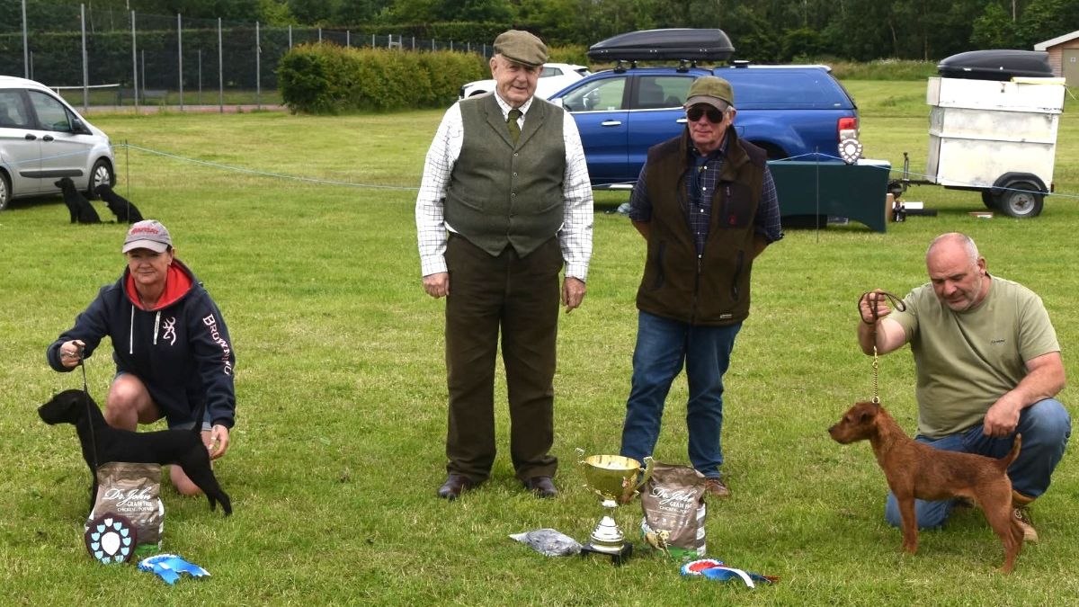At the “regular” F&MWTC show that followed the Best of the Best Competition, two judges were required to determine the Champion and Reserve. The black Fell Terrier on the left was Reserve while the Lakeland on the right was the overall Terrier Champion (and ultimately the Supreme Champion) for the day. My fellow judge, terrier man Phil Bell, a Yorkshire native, is a breeder of Fell and Border Terriers. He knows working terriers through and through, and has a reputation for choosing a well-made, workmanlike dog over a more showy exhibit. The fact that we could agree on these two choices was nothing short of miraculous and is a testimony to the quality of the dogs themselves.