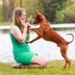 Adrianna Melody Vozza with her Cirneco dell’Etna dog
