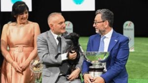 Best in Show - Italian Greyhound Tanuzza Dei Raggi Di Luna