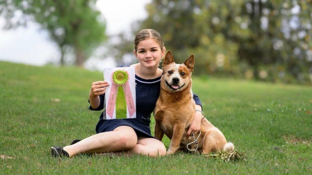 Reagan Schwartzenberger and her Juniors dog “Bourbon,” CH Rumspringa’s Know When To Hold ‘Em, bred and finished by Reagan. (photo by Laura Wright of BellaClan Border Collies)